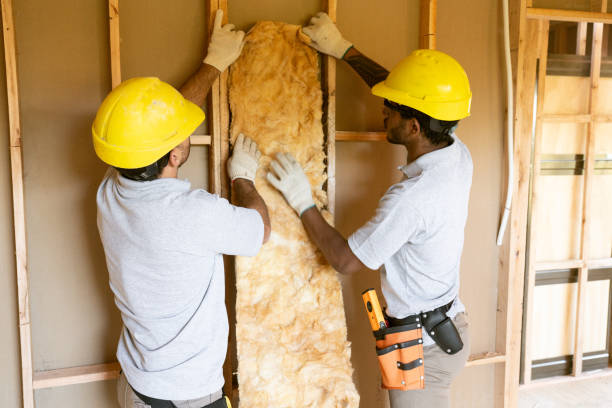 Best Attic Insulation Installation in Mulberry, AR